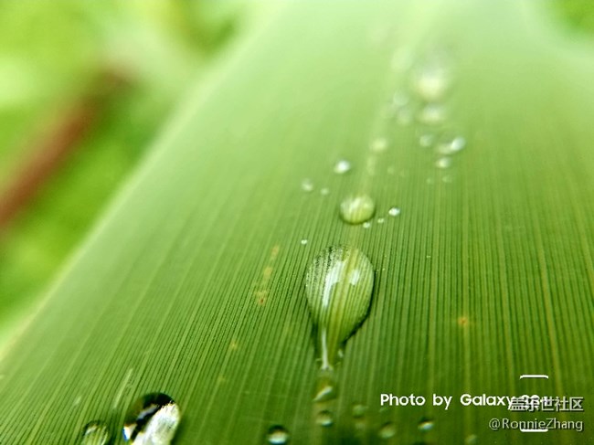 歡迎各路大神吐槽