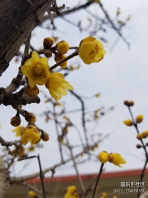 隨手拍風(fēng)景