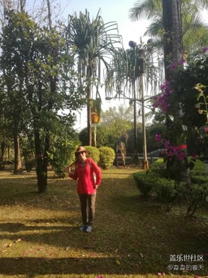 春節(jié)游玩，快樂(lè)幸福