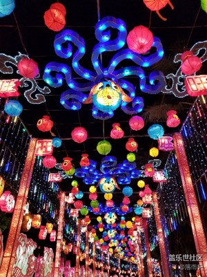 歡歡喜喜過大年+2018深圳歡樂燈會(huì)