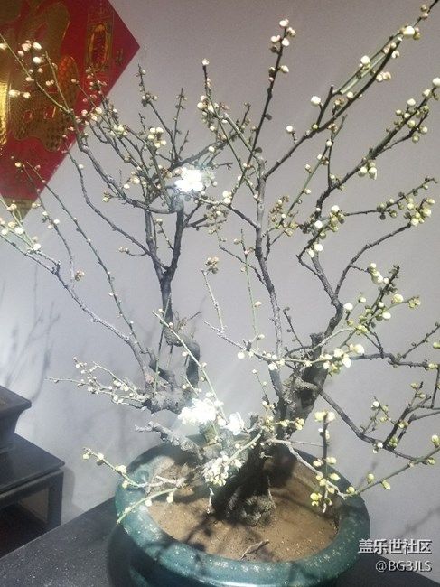 拍照不錯(cuò)非常好666666