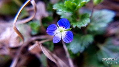 不一樣的微景觀2