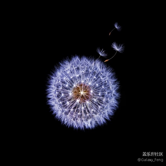 好期待3.6的廣州發(fā)布會 激動的睡不著