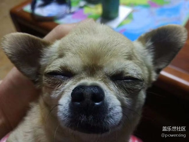 新手報(bào)到，請(qǐng)多關(guān)照