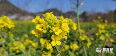 春天來了。。。。