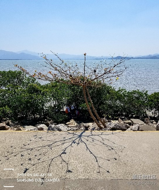 新人嘗試借鑒做的水印，學(xué)習(xí)交流～