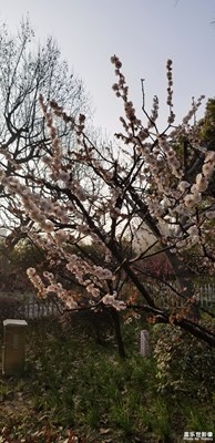 春暖花開公園游