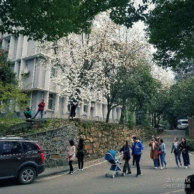 note8完全可以勝任隨身相機(jī)稱謂。