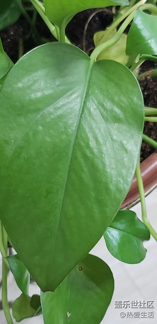 先行者已經(jīng)參加活動了