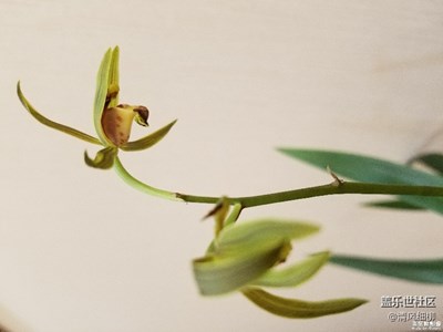 48期周賽《春風(fēng)》部分作品欣賞