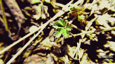 不一樣的濾鏡不一樣的感覺