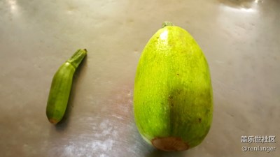 你倆都不是啥正經(jīng)西葫