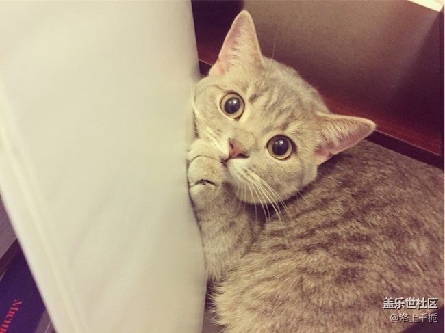 凝時拍攝在燈光下一直閃好尷尬