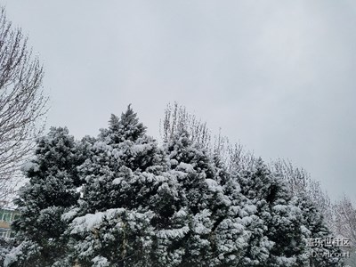 春，雪