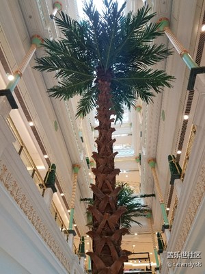 環(huán)  球  港