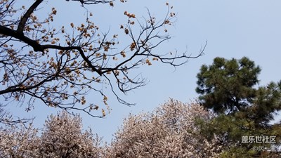 不一樣的天空藍，美如畫