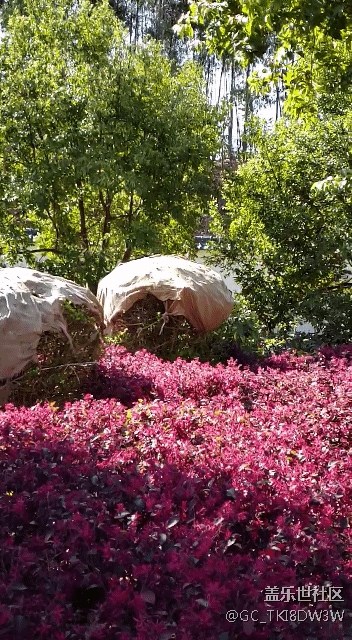 s9 讓人拍照技術(shù)難以想象