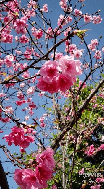 s9 讓人拍照技術(shù)難以想象