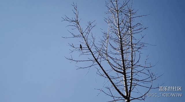 s9 讓人拍照技術(shù)難以想象