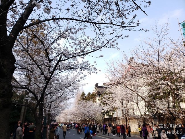 關于S9+相機專業(yè)模式觸動問題