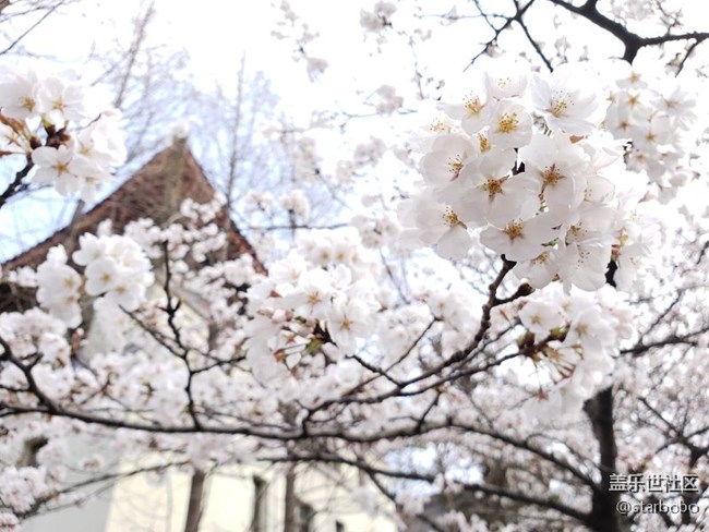 關于S9+相機專業(yè)模式觸動問題