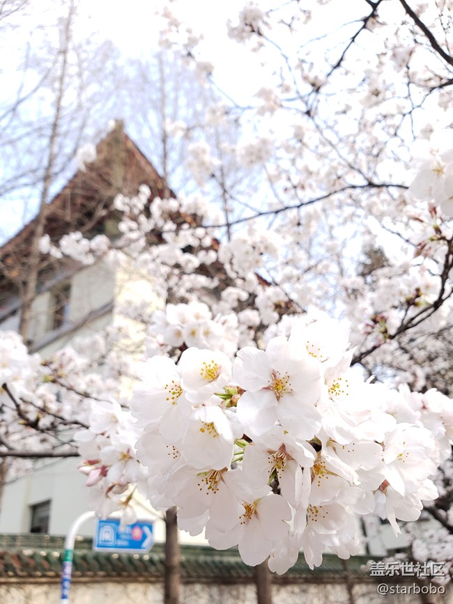 關于S9+相機專業(yè)模式觸動問題