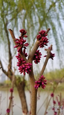 不一樣，就是不一樣