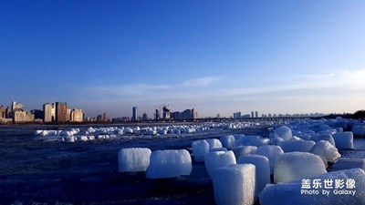 冰城的春天靜悄悄。