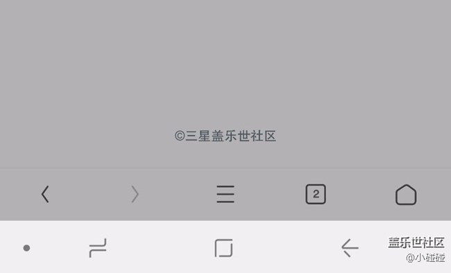 希望s9能徹底隱藏導(dǎo)航欄加入手勢操作