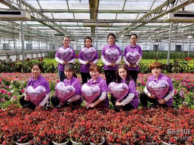 黑龍江分公司佳木斯小區(qū)  【星夢小隊 "9"是強(qiáng)】