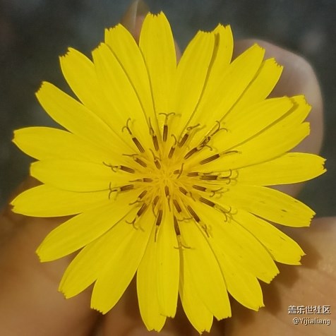 三星s7怎么投屏到電腦？