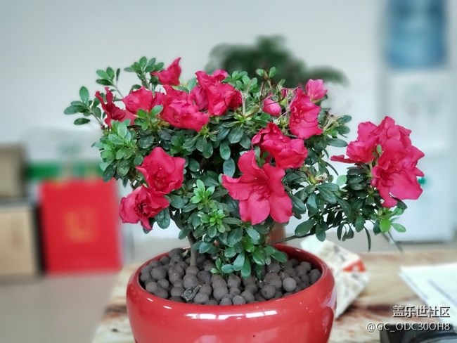 s9+無實(shí)時(shí)虛化濾鏡背景 s9+無實(shí)時(shí)虛化濾鏡背景