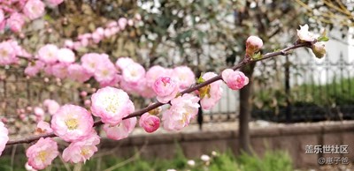 人見人愛，花見花開