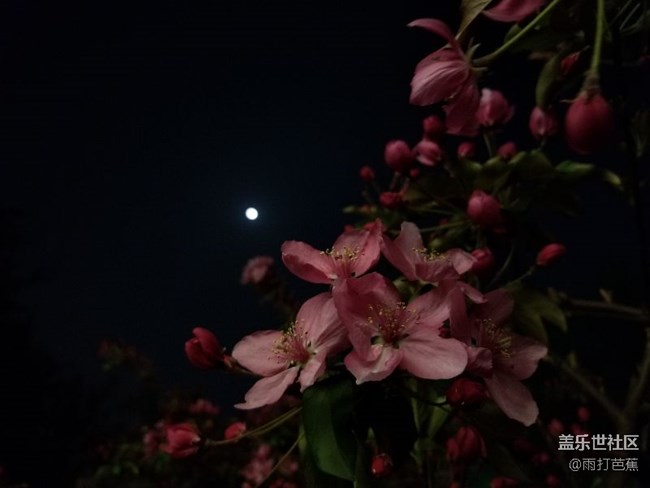 S8夜拍分享。