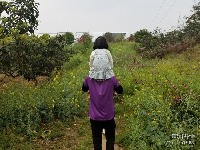 【春色十里不如“9”】+成都分公司蔡咪娜小區(qū)&“娜”片海隊