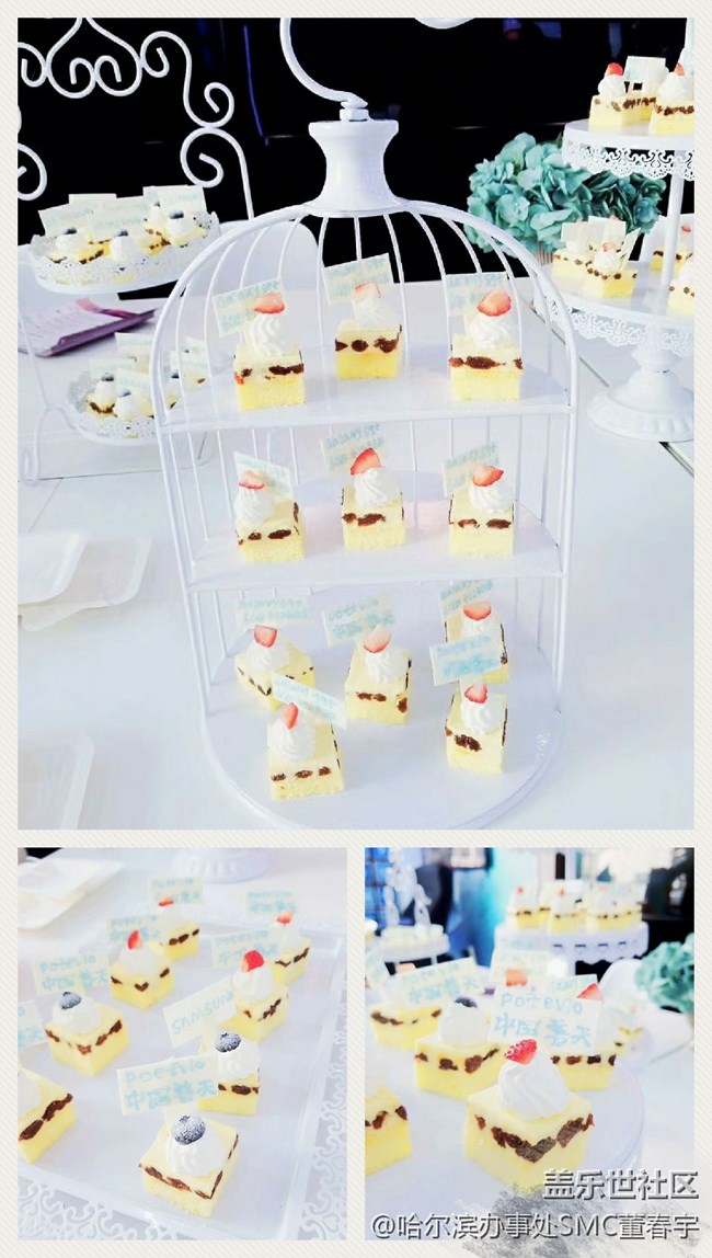 黑龍江分公司哈爾濱小區(qū)夢之隊