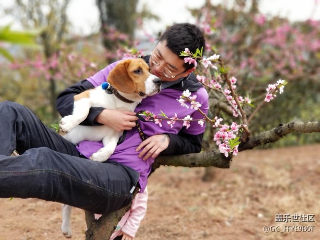 【春色十里不如“9”】+成都分公司蔡咪娜小區(qū)&“娜”片海隊