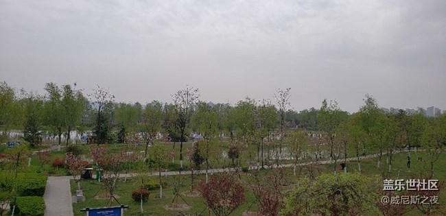 s9+為什么照片那么小