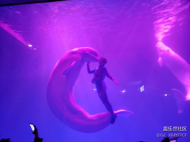 遼寧分公司-大連小區(qū)-“星”動濱城，“9”要做No.1