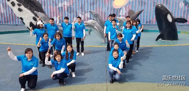 遼寧分公司-大連小區(qū)-“星”動濱城，“9”要做No.1