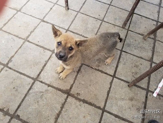 四川分公司--重慶陳管鴻區(qū)域