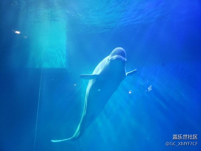 遼寧分公司-大連小區(qū)-“星”動濱城，“9”要做No.1