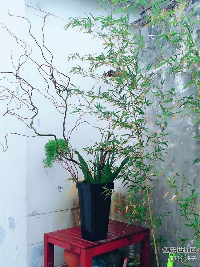 四川分公司-南達(dá)廣小區(qū)S9團(tuán)建