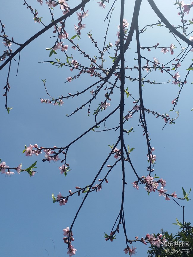 四川分公司-南達(dá)廣小區(qū)S9團(tuán)建