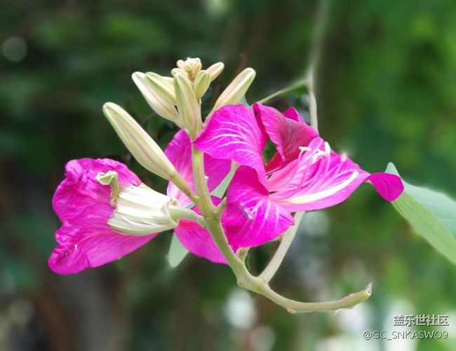 四川分公司-四川德陽賴標(biāo)區(qū)域