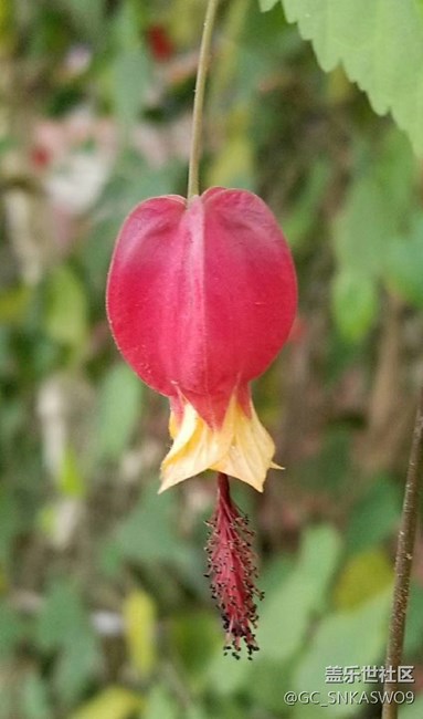 四川分公司-四川德陽賴標(biāo)區(qū)域