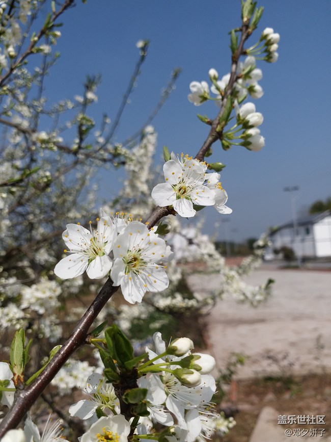四川分公司-南達(dá)廣小區(qū)S9團(tuán)建