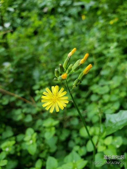四川分公司-四川德陽賴標(biāo)區(qū)域