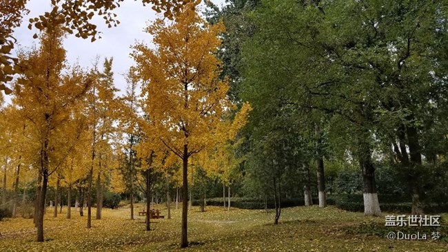 9 是用心-山東分公司濟南小區(qū)-吳蘭