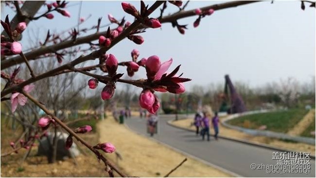 【“9”五至尊，國泰民安】山東分公司泰萊小區(qū)團(tuán)建會(huì)